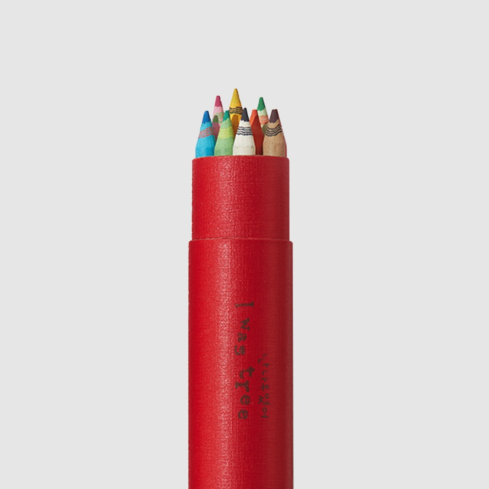 보킷ㅣ종이 색연필 10 pcs - 목재 대신 버려진 재생 종이로 만든 종이 색연필 10 자루 세트